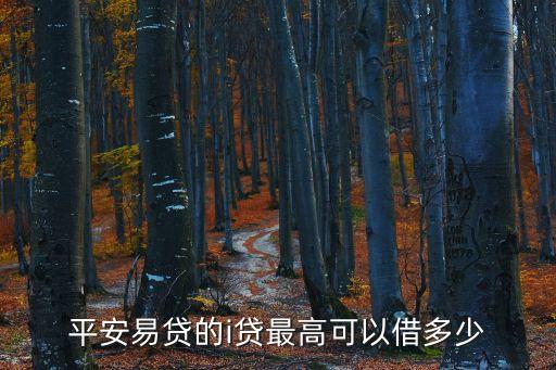平安i貸額度怎么看，平安易貸的i貸最高可以借多少