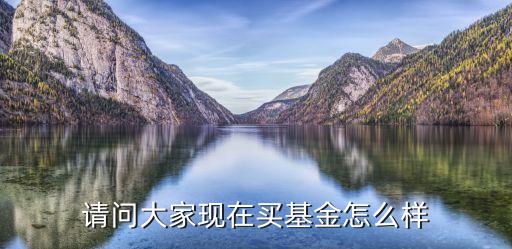 每天買入基金怎么樣，基金定投每天買入好還是每月買入好