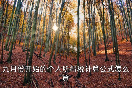 個(gè)調(diào)稅怎么算，個(gè)人所得稅怎么算呀