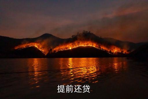提前還貸