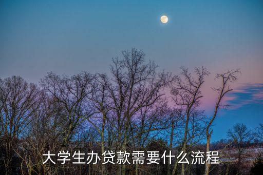 大學生辦貸款需要什么流程