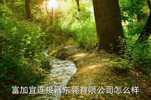 東莞富佳宜怎么樣，東莞富加宜好不好