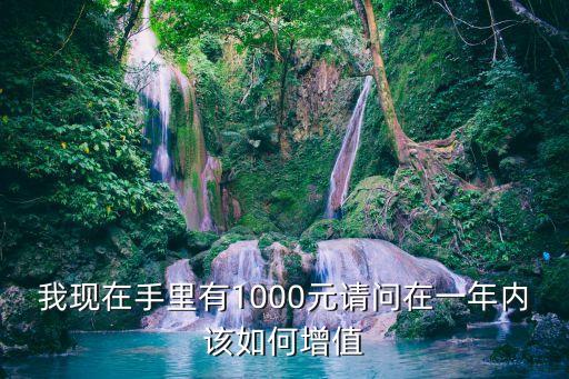 錢要怎么升值，我現(xiàn)在手里有1000元請問在一年內(nèi)該如何增值