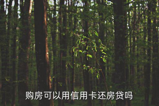 購(gòu)房可以用信用卡還房貸嗎