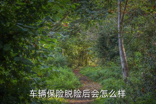 汽車保險(xiǎn)脫保會(huì)怎么樣，車輛保險(xiǎn)脫險(xiǎn)后會(huì)怎么樣
