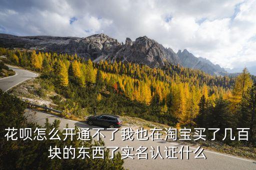 花唄怎么開(kāi)通不了我也在淘寶買(mǎi)了幾百塊的東西了實(shí)名認(rèn)證什么