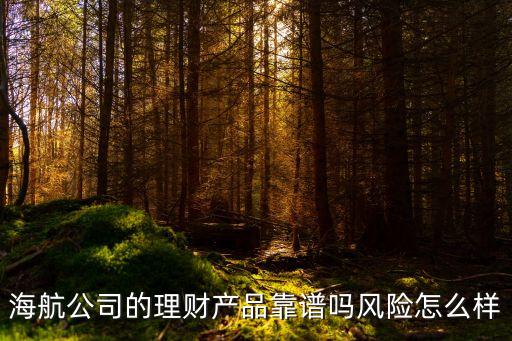 海航公司的理財(cái)產(chǎn)品靠譜嗎風(fēng)險(xiǎn)怎么樣