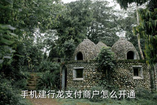 手機(jī)建行龍支付商戶怎么開通