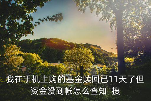 我在手機(jī)上購(gòu)的基金贖回已11天了但資金沒(méi)到帳怎么查知  搜