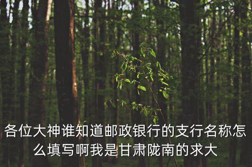 各位大神誰知道郵政銀行的支行名稱怎么填寫啊我是甘肅隴南的求大