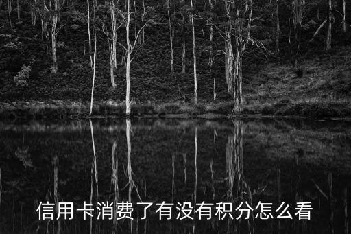 信用卡消費了有沒有積分怎么看