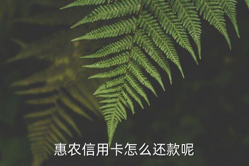 惠農(nóng)貸怎么還款，惠農(nóng)信用卡怎么還款呢