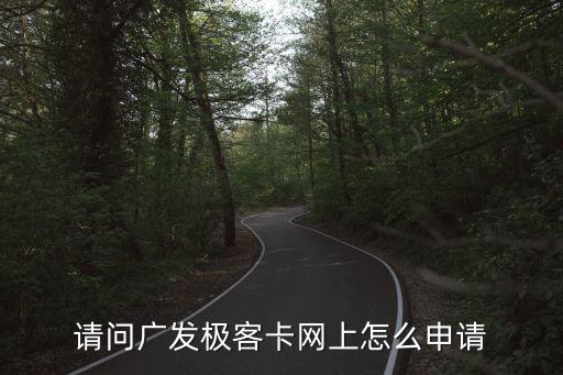請問廣發(fā)極客卡網(wǎng)上怎么申請