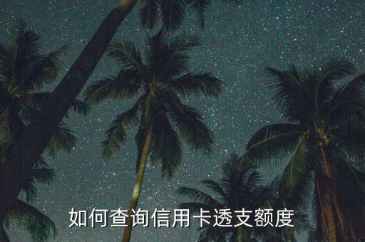 信用卡透支怎么查，怎么查信用卡透支度