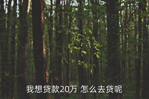 我想貸款20萬 怎么去貸呢