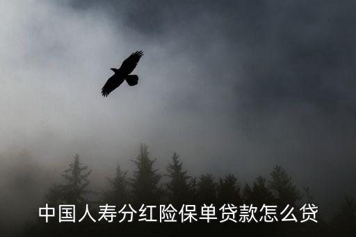 中國人壽分紅險(xiǎn)保單貸款怎么貸