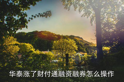 華泰漲了財(cái)付通融資融券怎么操作