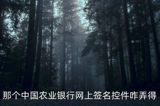 那個(gè)中國農(nóng)業(yè)銀行網(wǎng)上簽名控件咋弄得