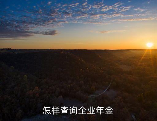 我想查年金怎么查，個人企業(yè)年金怎么查