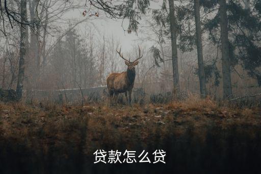 貸款怎么貸