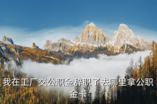 離職后公務(wù)卡怎么辦理，公務(wù)卡如何辦理