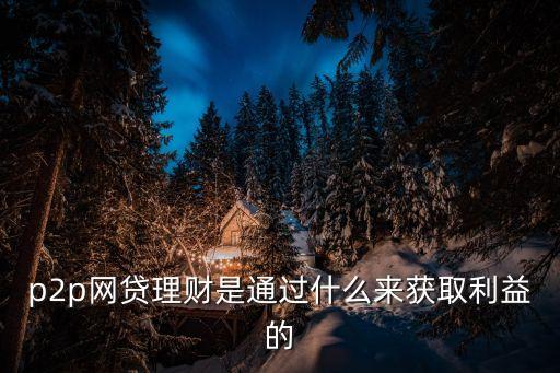 p2p 理財怎么獲得收益，p2p網(wǎng)貸理財是通過什么來獲取利益的