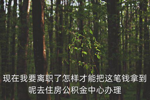 現(xiàn)在我要離職了怎樣才能把這筆錢拿到呢去住房公積金中心辦理