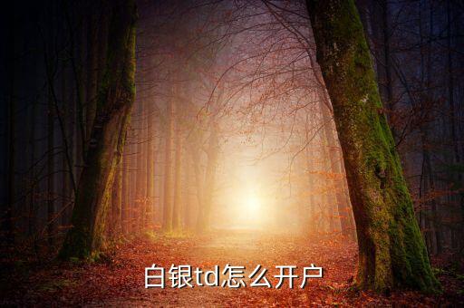 白銀td怎么開戶