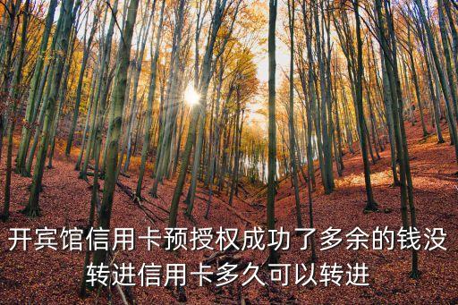 開賓館信用卡預(yù)授權(quán)成功了多余的錢沒轉(zhuǎn)進信用卡多久可以轉(zhuǎn)進
