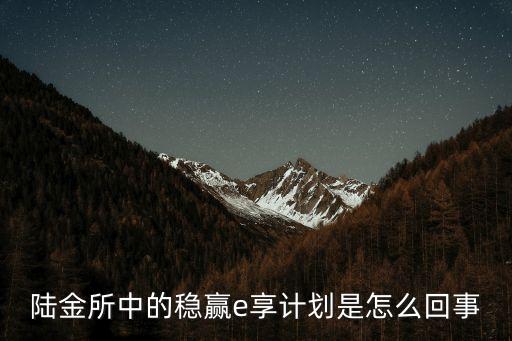 陸金所中的穩(wěn)贏e享計劃是怎么回事