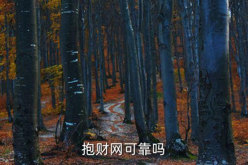 抱財(cái)網(wǎng)可靠嗎