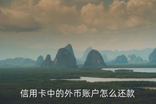 外幣欠款怎么還款嗎，外幣美元欠款如何還