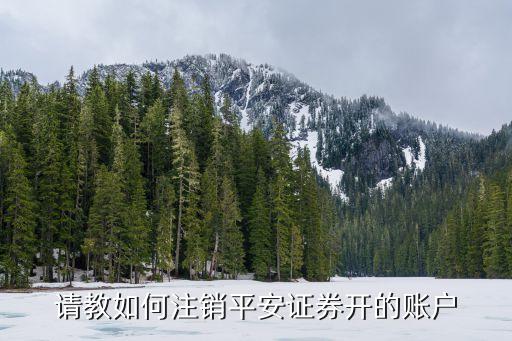 請教如何注銷平安證券開的賬戶