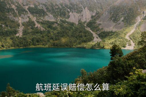 海航延誤險怎么理賠，今天飛機延誤了3小時40分買了延誤險如何理賠
