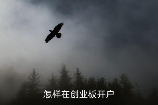 創(chuàng)業(yè)版股票怎么開戶，如何開通創(chuàng)業(yè)版股票
