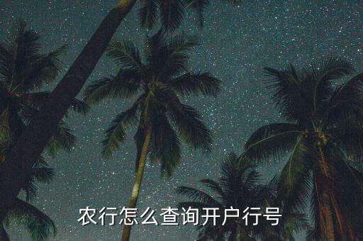 農(nóng)行怎么查詢開戶行號
