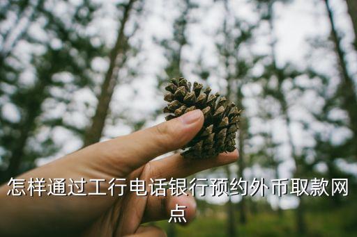 怎樣通過工行電話銀行預(yù)約外幣取款網(wǎng)點
