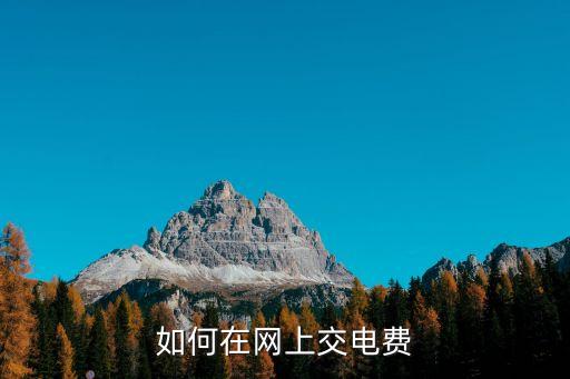 網(wǎng)上繳費電費怎么辦，請問在網(wǎng)上交電費怎么交