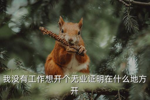 我沒有工作想開個(gè)無業(yè)證明在什么地方開