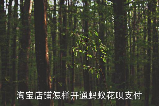 淘寶店鋪怎樣開通螞蟻花唄支付