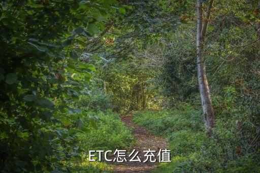 ETC怎么充值