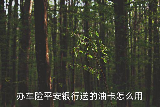 平安贈(zèng)送加油卡怎么用，平安送的加油卡怎么用l