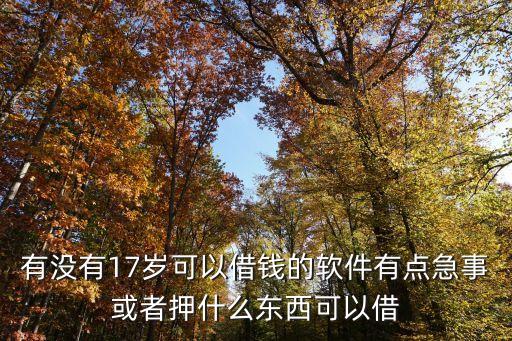 我才17歲怎么才能貸款，17周歲怎么能借到錢可以貸款么