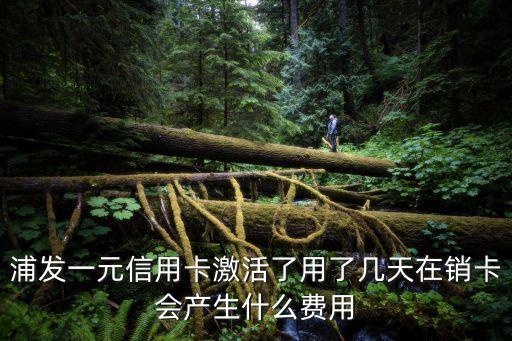 浦發(fā)一元早餐怎么玩，足球早餐盤怎么玩求大家指點我一下吧謝謝