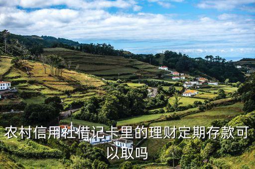 農(nóng)信理財(cái)怎么取出來(lái)嗎，農(nóng)村信用社存定期十萬(wàn)沒(méi)本人身份證可以取出來(lái)嗎