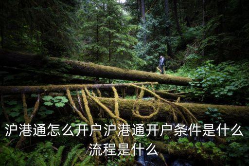 滬港通怎么開戶50萬，港股開通我們散戶怎么開戶呀資金要五十萬