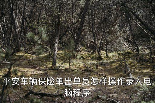 平安怎么錄保險單子，平安車險怎么錄單子