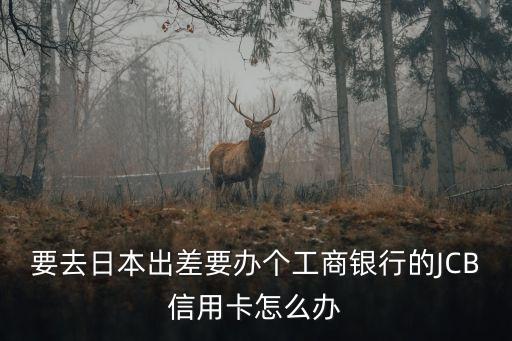 工行jcb信用卡怎么辦，問 問 問 工銀jcb旅行和銀聯(lián)普卡信用卡需要多久才可以辦下來