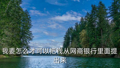 我要怎么才可以把錢從網(wǎng)商銀行里面提出來