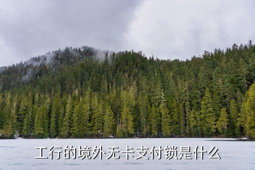 工行的境外無卡支付鎖是什么